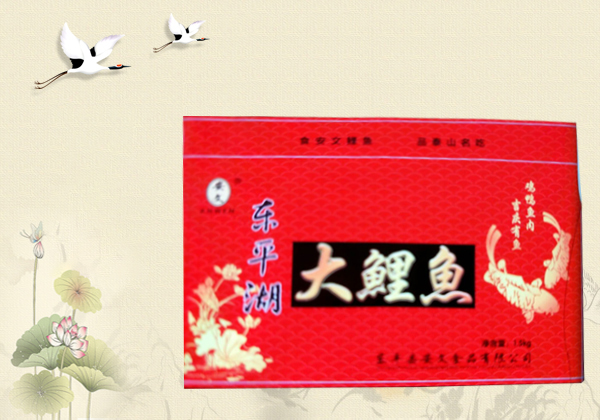 东平湖大鲤鱼
